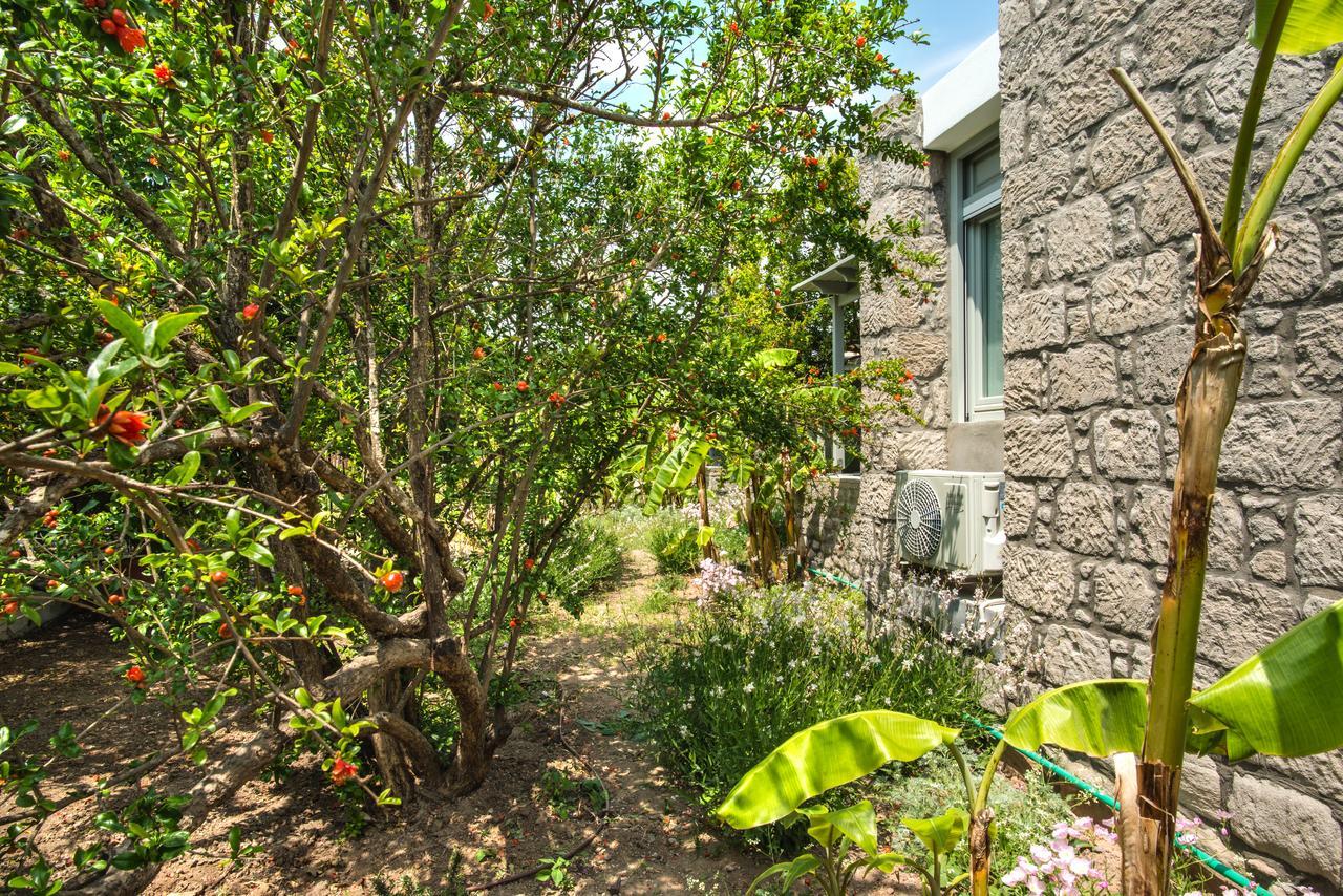 Aparthotel Melagrana Adamantas  Exterior foto